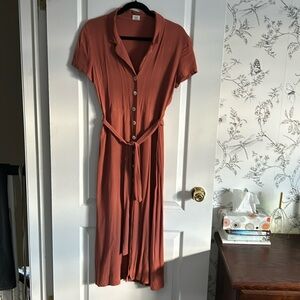 Aritzia Shirt Dress